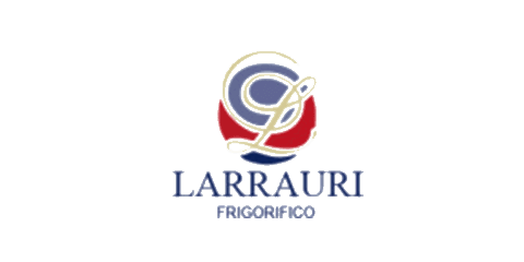 Logo de Larrauri